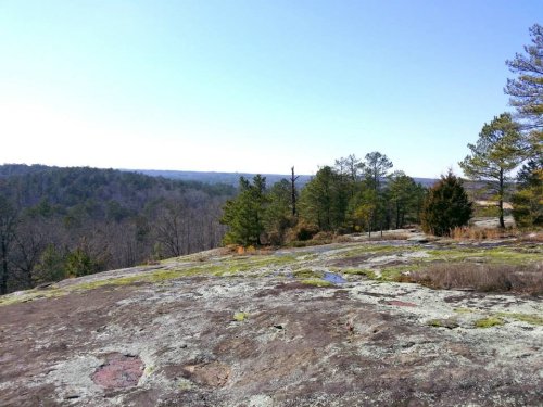 A rocky landscape with patches of moss, trees, and a clear blue sky in the background.