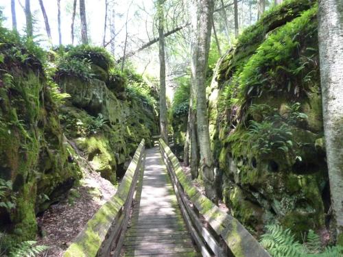 A wooden walkway through a lush, green canyon with moss-covered rocks and trees. Sunlight filters through the foliage.