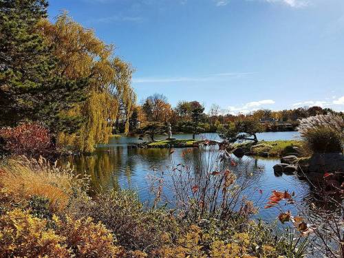 A serene lake surrounded by colorful autumn foliage and trees under a clear blue sky.