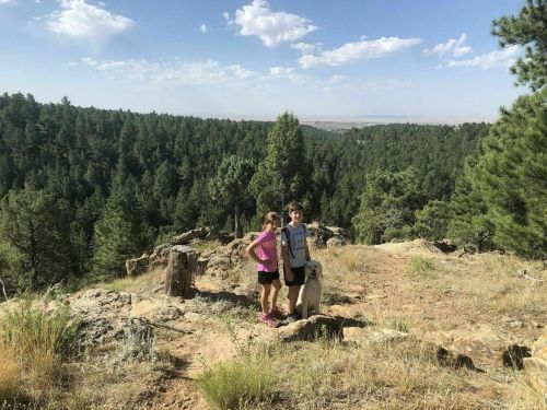 A woman and a boy stand on a rocky trail with a dog, surrounded by lush green trees and a blue sky.