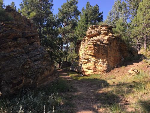 Rock formations flanked by trees along a dirt path in a forested area under a clear blue sky.