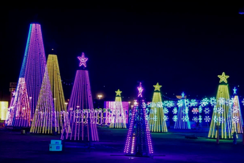 Colorful illuminated Christmas trees and decorations glowing at night in a festive display.
