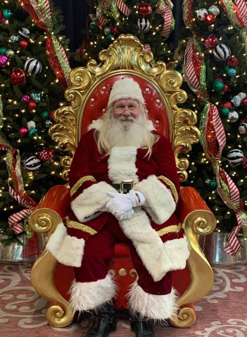 Santa Claus sitting on a golden throne, surrounded by decorated Christmas trees with colorful ornaments and ribbons.