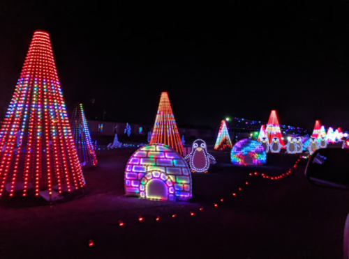 Colorful illuminated trees and festive shapes, including igloos and penguins, create a vibrant holiday light display at night.
