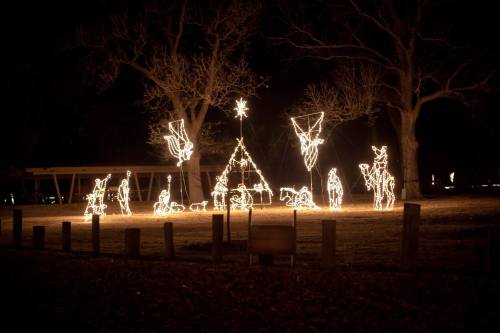 A nighttime scene featuring illuminated Christmas decorations, including a nativity scene and festive figures among trees.