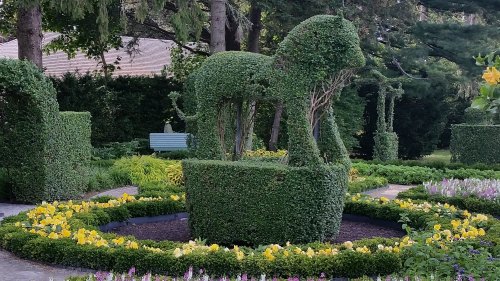 A topiary sculpture of a lion surrounded by colorful flowers in a lush garden setting.