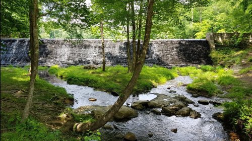 A serene landscape featuring a stream flowing past rocks, with a stone dam and lush greenery in the background.