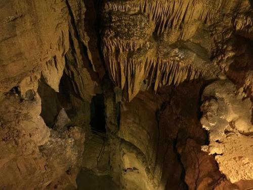 Stalactites and stalagmites in a dimly lit cave, showcasing intricate rock formations and textures.
