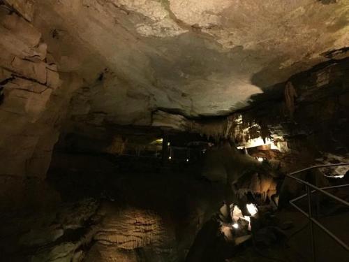 Dimly lit cave interior with rock formations and stalactites, showcasing natural textures and shadows.