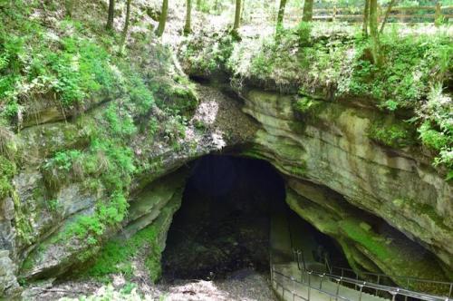 A large cave entrance surrounded by lush greenery and trees, with a stone pathway leading inside.
