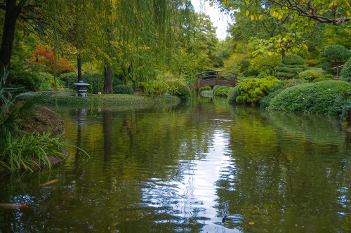 A serene garden scene featuring a pond, lush greenery, and a wooden bridge reflecting in the water.