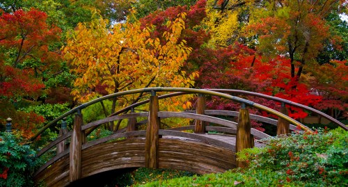 A wooden bridge arches over a vibrant landscape of autumn foliage in shades of red, orange, and yellow.