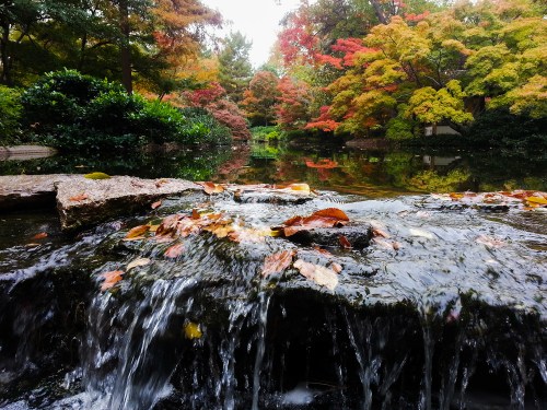 A serene waterfall cascades over rocks, surrounded by vibrant autumn foliage reflecting in a calm pond.