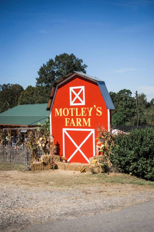 A bright red barn with "Motley's Farm" written on it, surrounded by greenery and autumn decorations.