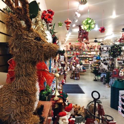 A festive store filled with holiday decorations, featuring a straw reindeer in the foreground.
