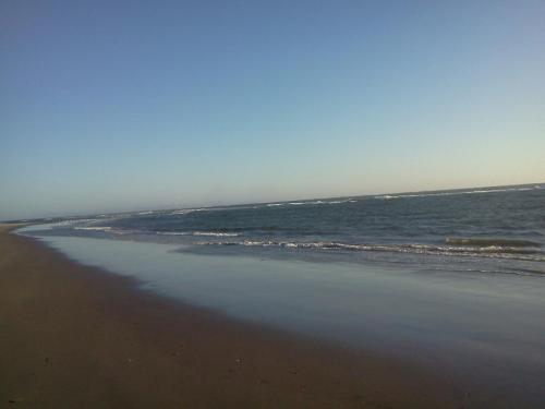 A serene beach scene with gentle waves lapping at the shore under a clear blue sky.