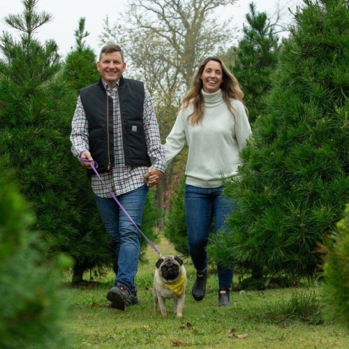 A couple walks hand in hand with a pug on a leash among tall green trees.