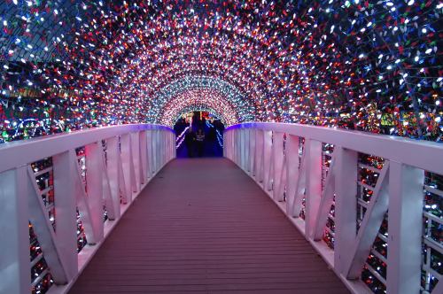 A brightly lit archway covered in colorful lights, leading to a darkened area beyond.
