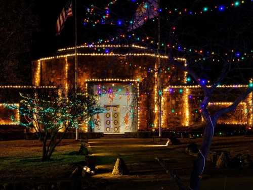 A building adorned with colorful holiday lights, surrounded by trees and a clear night sky.