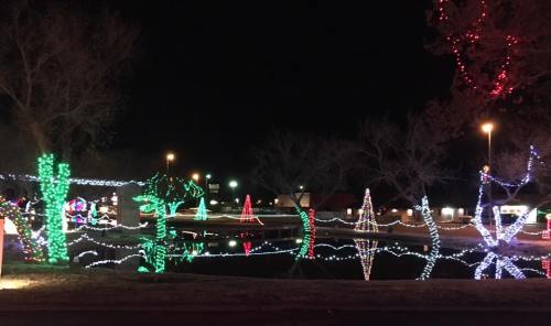 Colorful holiday lights illuminate trees and a pond at night, creating a festive winter scene.