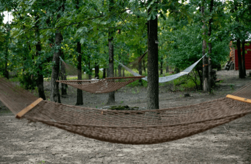 Two hammocks are suspended between trees in a wooded area, surrounded by greenery and a peaceful atmosphere.