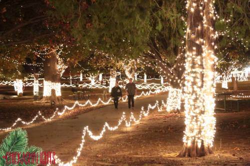 A couple walks down a path lined with glowing holiday lights on trees, creating a festive atmosphere.