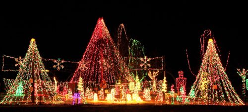 Colorful Christmas lights illuminate trees and festive decorations in a nighttime display.