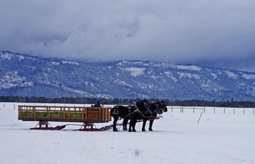 A horse-drawn sleigh stands in a snowy landscape with mountains in the background under a cloudy sky.