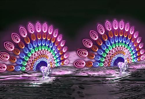 Colorful neon peacock feathers illuminated against a dark background, reflecting in water below.