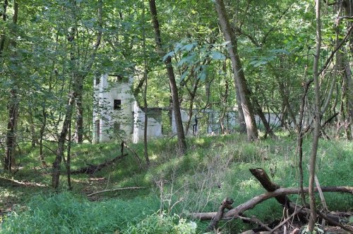 Abandoned structure partially hidden by dense greenery in a forested area.