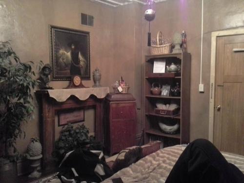 Cozy room with a vintage fireplace, a bookshelf, and decorative plants, featuring warm brown walls and soft lighting.