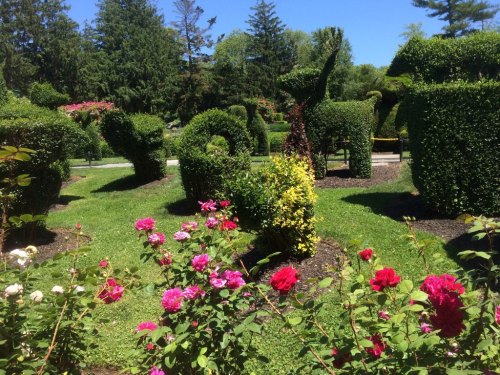 A lush garden featuring creatively shaped topiary animals surrounded by colorful blooming roses.