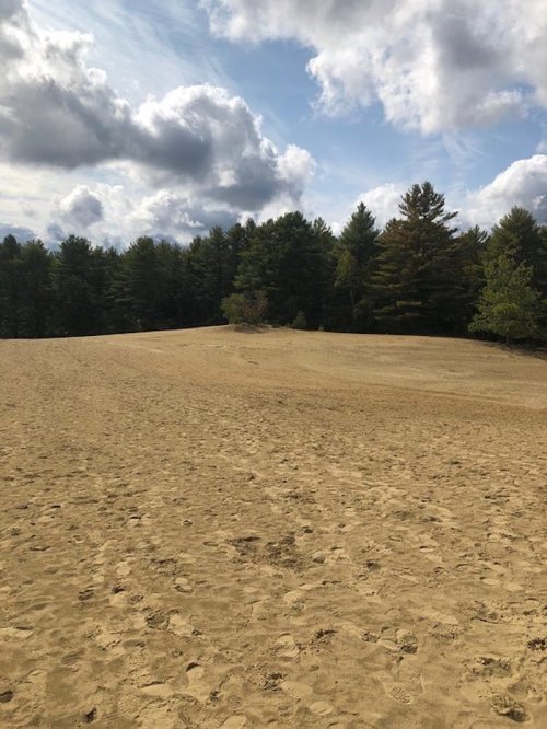 A sandy landscape with a gentle hill, surrounded by green trees and a cloudy sky.
