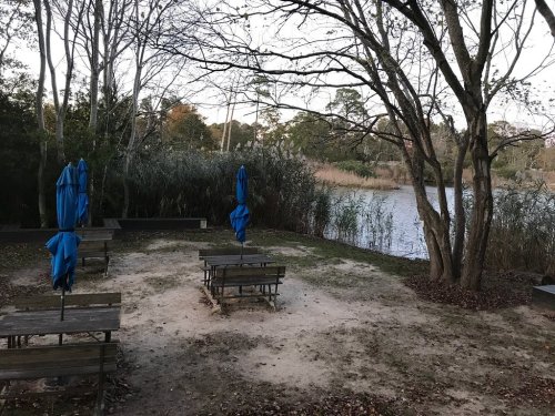 A serene outdoor area with wooden tables and blue umbrellas near a calm lake, surrounded by trees and tall grass.