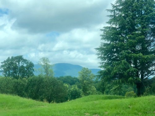 Lush green landscape with rolling hills, a tall tree, and a cloudy sky in the background.