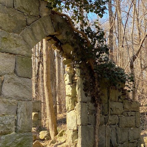 A stone archway covered in ivy, surrounded by trees in a wooded area, showcasing remnants of an old structure.