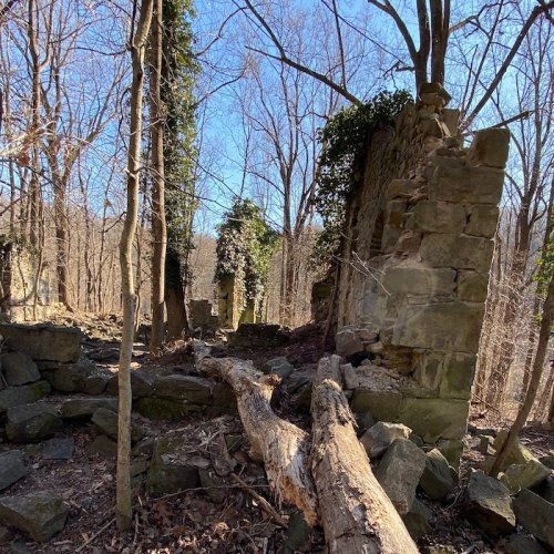 Ruins of a stone structure in a wooded area, with trees and a fallen log under a clear blue sky.