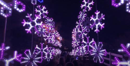 A pathway illuminated by vibrant purple and white snowflake lights against a dark night sky.