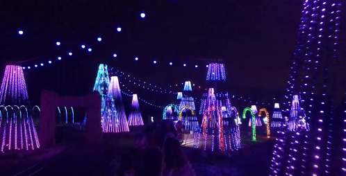 A vibrant display of colorful lights in various shapes, illuminating a dark night sky at a festive event.