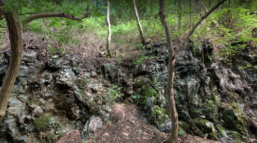 A rocky hillside covered with greenery and trees, showcasing a natural, rugged landscape.