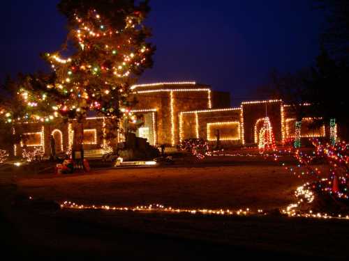 A beautifully decorated house illuminated with colorful Christmas lights, surrounded by festive trees and decorations at night.