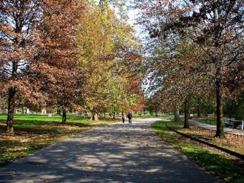 A serene park path lined with trees in autumn colors, with two people walking in the distance.