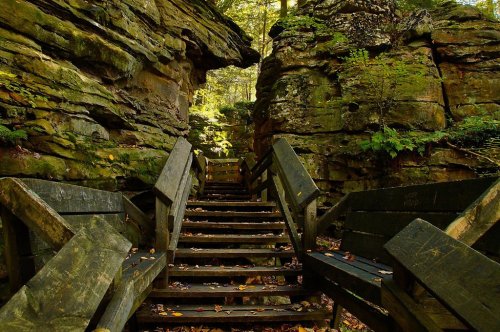 A wooden staircase leads through a narrow rocky passage, surrounded by lush greenery and autumn leaves.