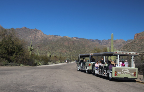 Trolley Ride Through The Arizona Desert: Sabino Canyon Crawler