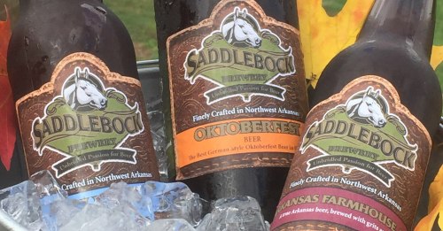 Three Saddleback Brewery beer bottles on ice, featuring Oktoberfest and Arkansas Farmhouse labels, surrounded by autumn leaves.