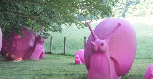 Large pink snail sculptures in a grassy field, surrounded by trees and a fence in the background.