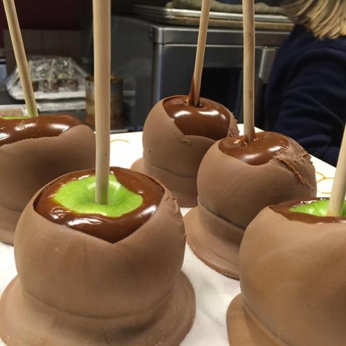 Chocolate-covered treats with green centers on sticks, arranged on a white plate.