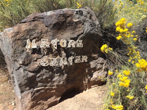 A large rock with the words "Nature Center" carved into it, surrounded by yellow wildflowers.
