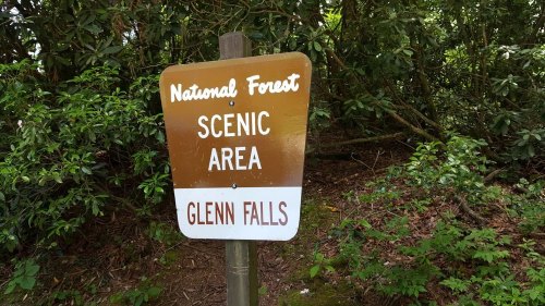 Sign for Glenn Falls in a national forest, indicating a scenic area surrounded by greenery.
