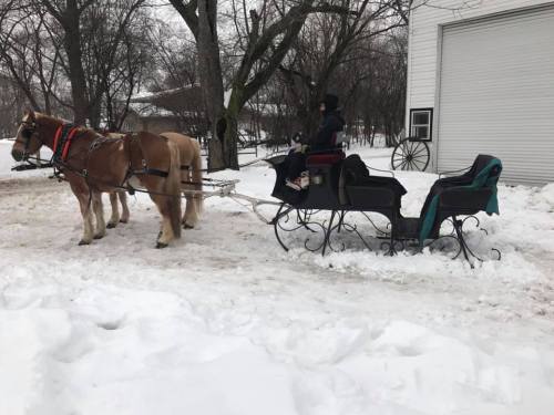 A horse-drawn sleigh in the snow, with a person seated in the sleigh, surrounded by trees and a building in the background.